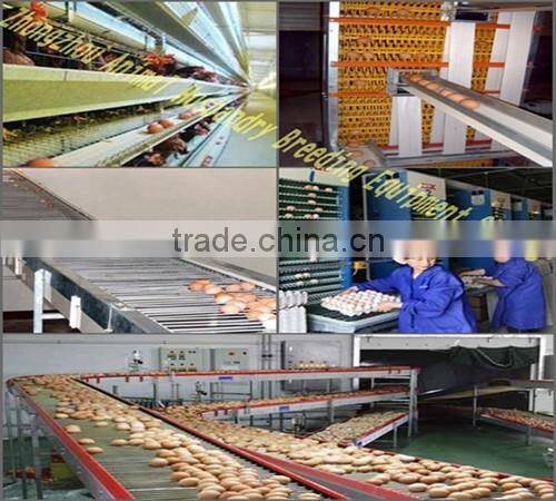 layer chicken cages uganda