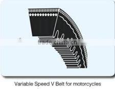 Variable Speed V-Belt