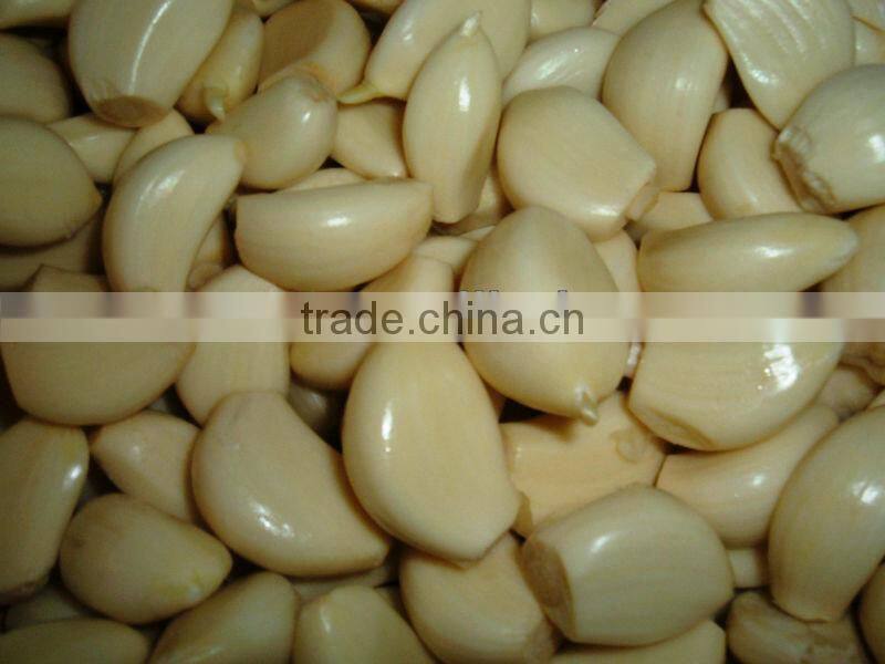 Garlic Processing Machine Peeling Machine Separating Machine Splitting Machine