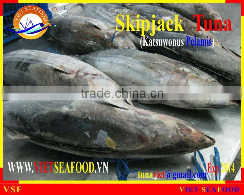 FROZEN W/R SKIPJACK TUNA