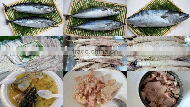2014 new frozen tuna loin in China