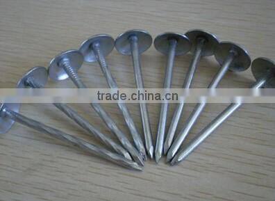 Iron Material Varnish Sprayed Farming Tools&Garden Tools Nail&Wire
