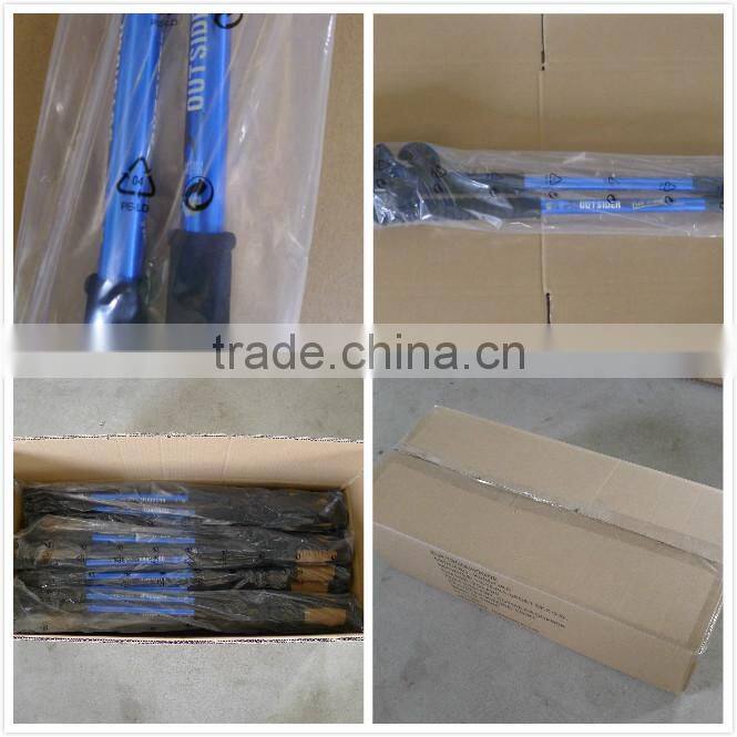 GS approved hiking poles