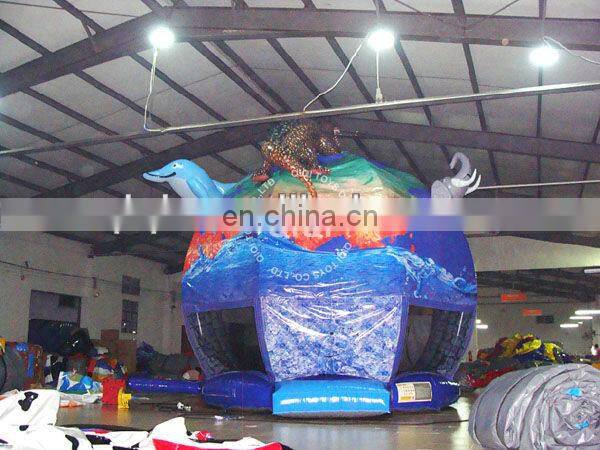 Inflatable commercial moon bounce sale
