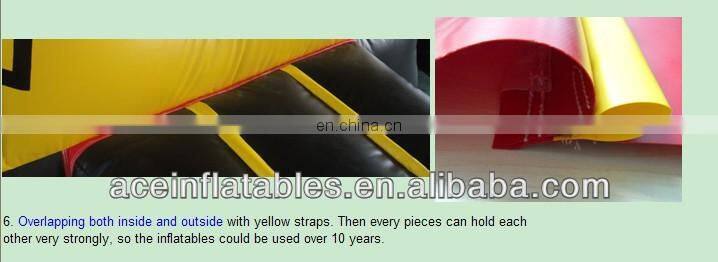 wet&dry shark inflatable combo