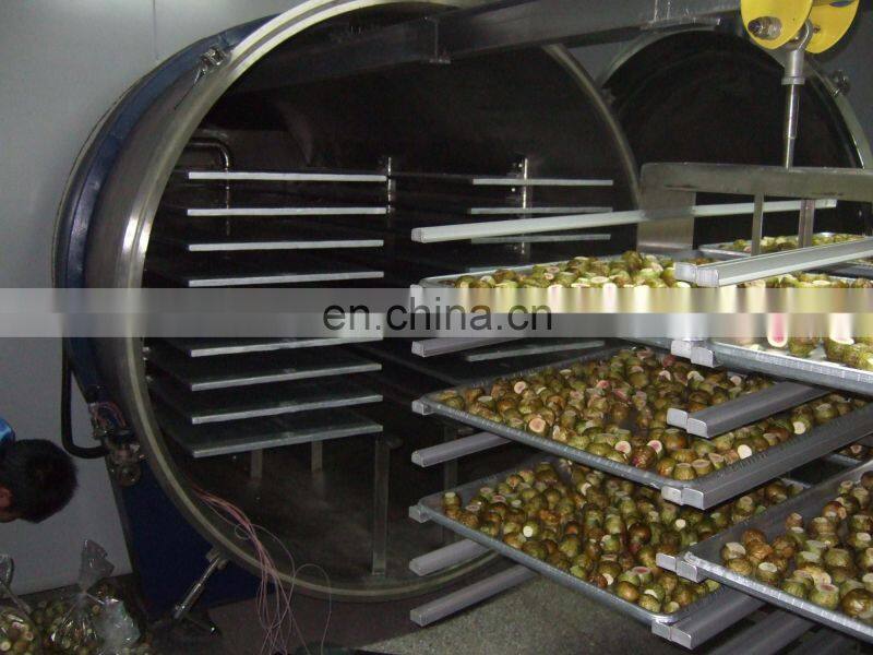 vegetable and fruit drying equipment