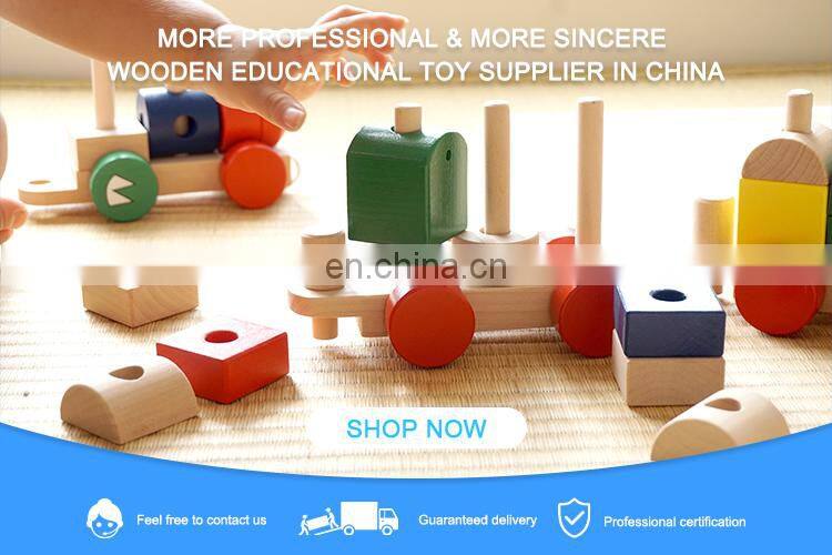 Hot Popular Puzzle Preschool Kids Educational Montessori Material Kindergarten Toys Montessori Wooden Toys