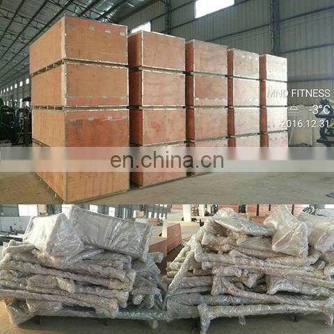 Exercise Gym Plate Gym Club 2021 Hot Sale Body Building Gym Training Seated Horizontal Pulley Italy Design Low Row