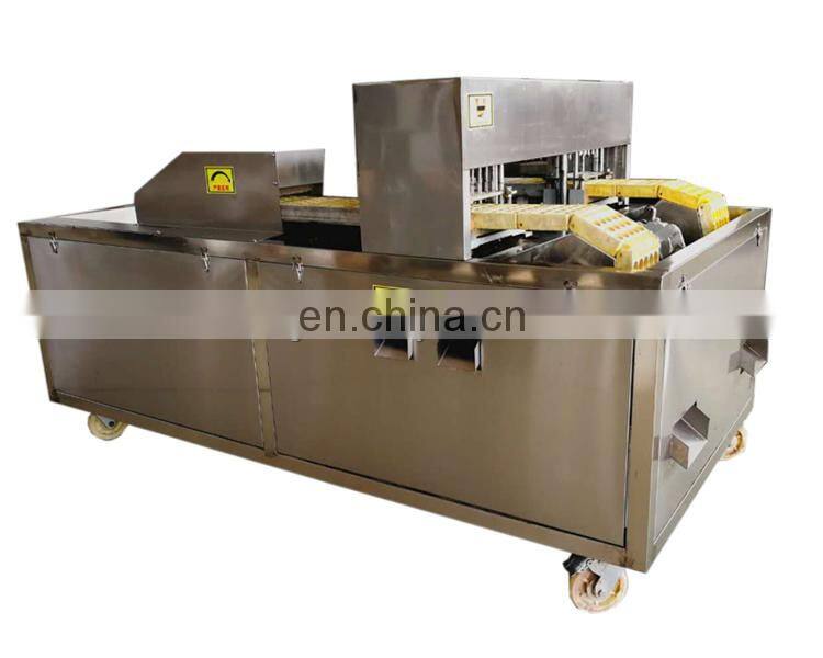 Automatic fruit stone extractor apricot and apple core removal machine.