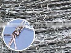 PE Barbed Wire 2