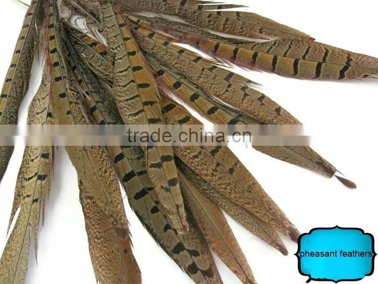 Wholesale Reeves pheasant tail feathers, Natural Pheasant Tail Feathers