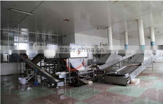 shandong raw peanuts in shell peanuts 1kg price