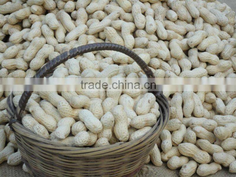 chinese best selling products new raw materials raw peanuts prices