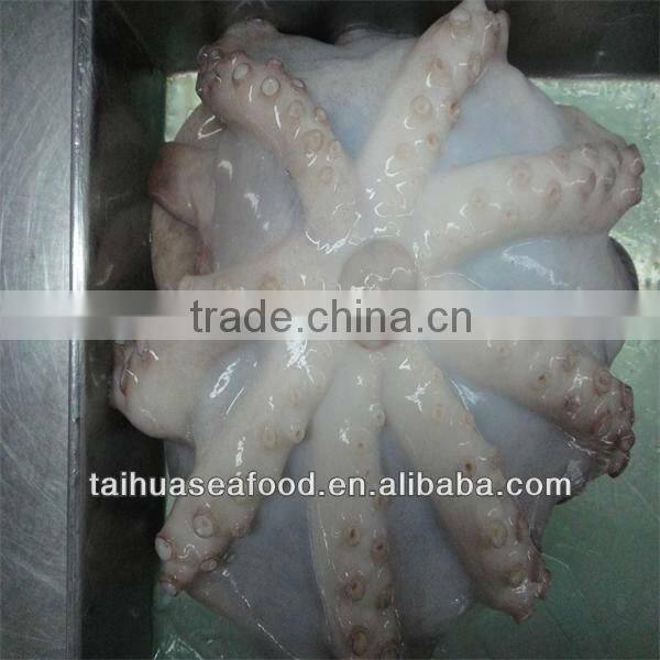 frozen and fresh octopus