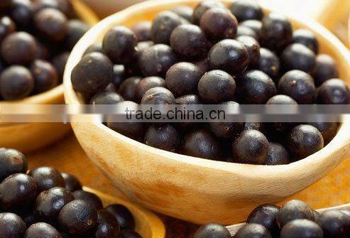 small profits and quick returns brazilian acai berry extract 10:1