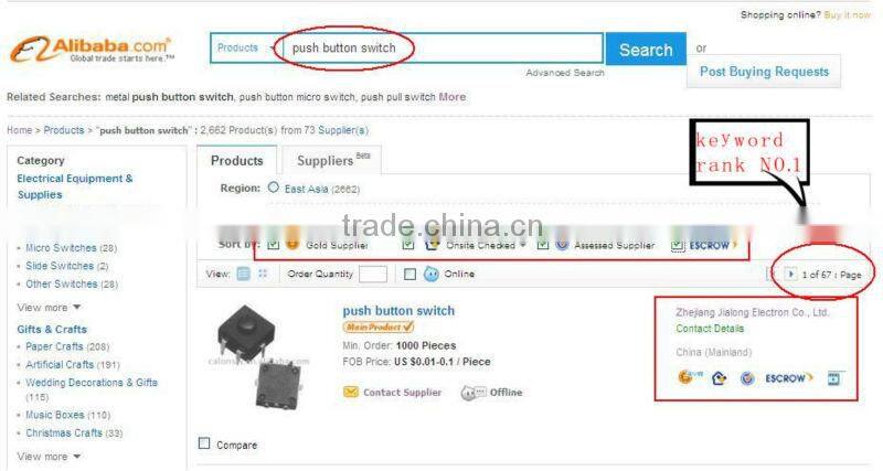 flashlight button switch 2P on-off push button switch