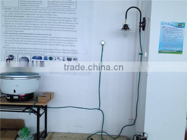 Puxin Excellent Fire Flame Lamps, Biogas Lamp