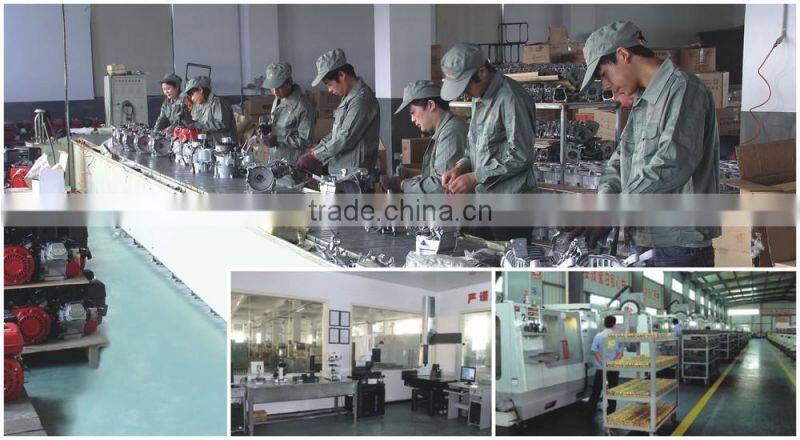 Gasoline Hydraulic Pump Gasoline Engine Water Pump for Dewatering & Irrigation