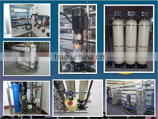 SEKO Chemical Dosing pump