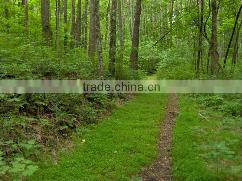 Reliable quality HDF melamine door skin--KT7