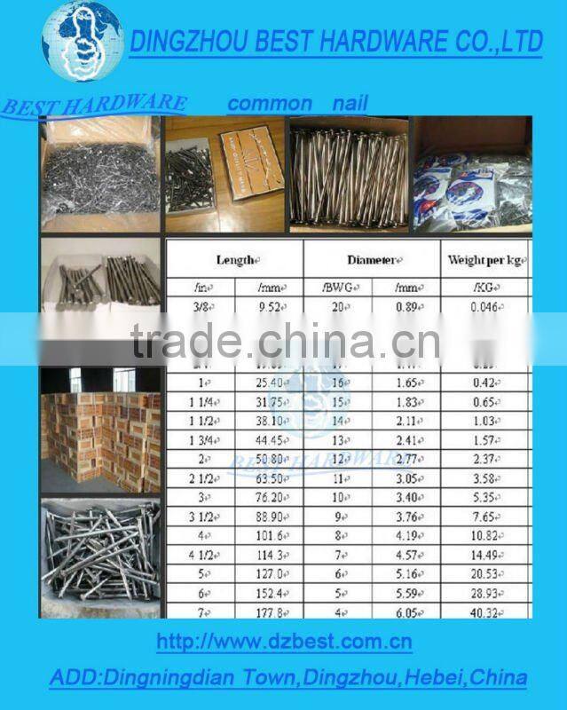 Round head nail Polished nail Iron nail Wire nails Common nails