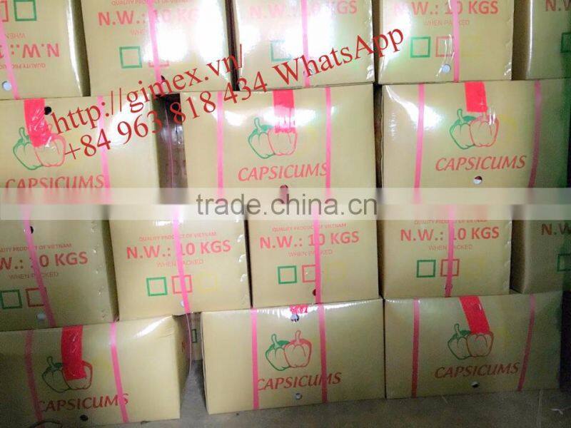 FRESH SWEET PEPPER / BELL PEPPER +84963818434 whatsapp