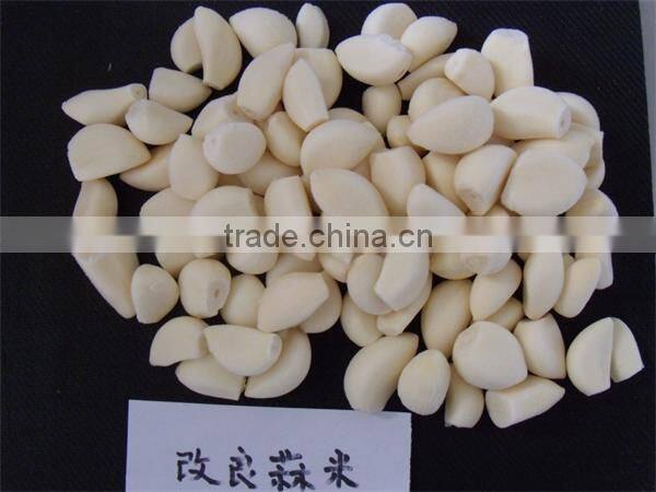 IQF peeled garlic for sale / frozen garlic for export