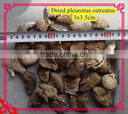 Dried pleurotus ostreatus