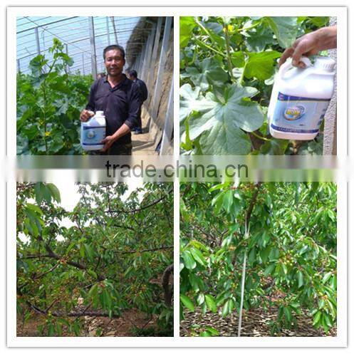 Root Growth Promoter Organic Liquid Fertilizer