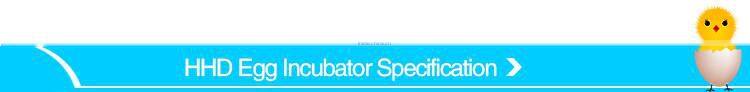 HHD Newest model full automatic used egg incubators digital egg incubation hatching