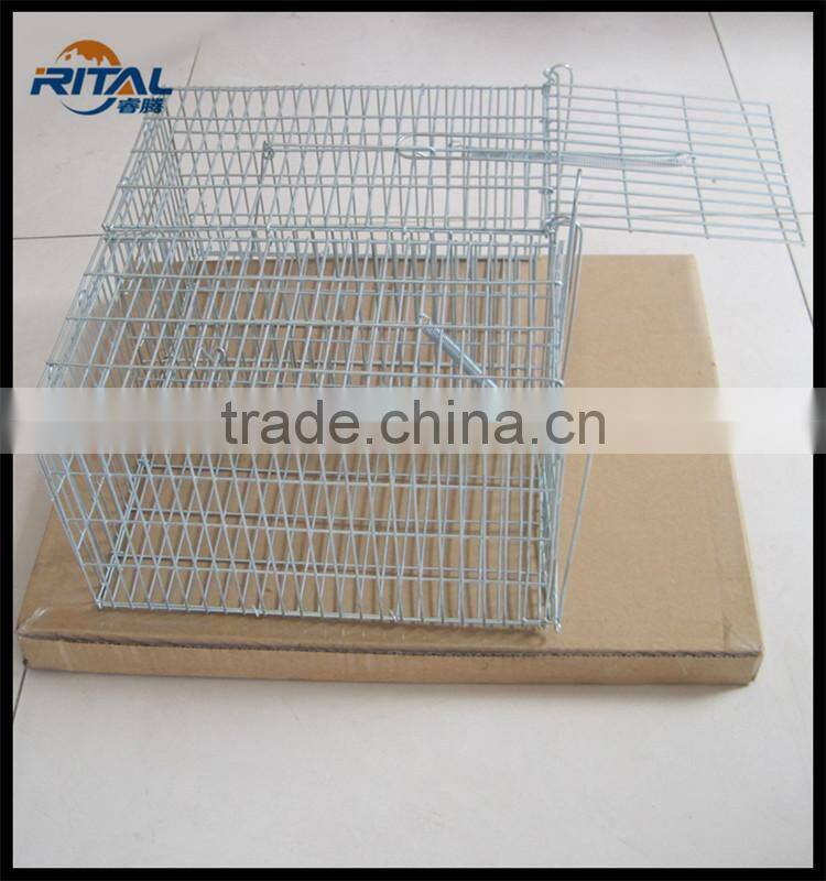new model Eco-friendly Large automatic mouse trap