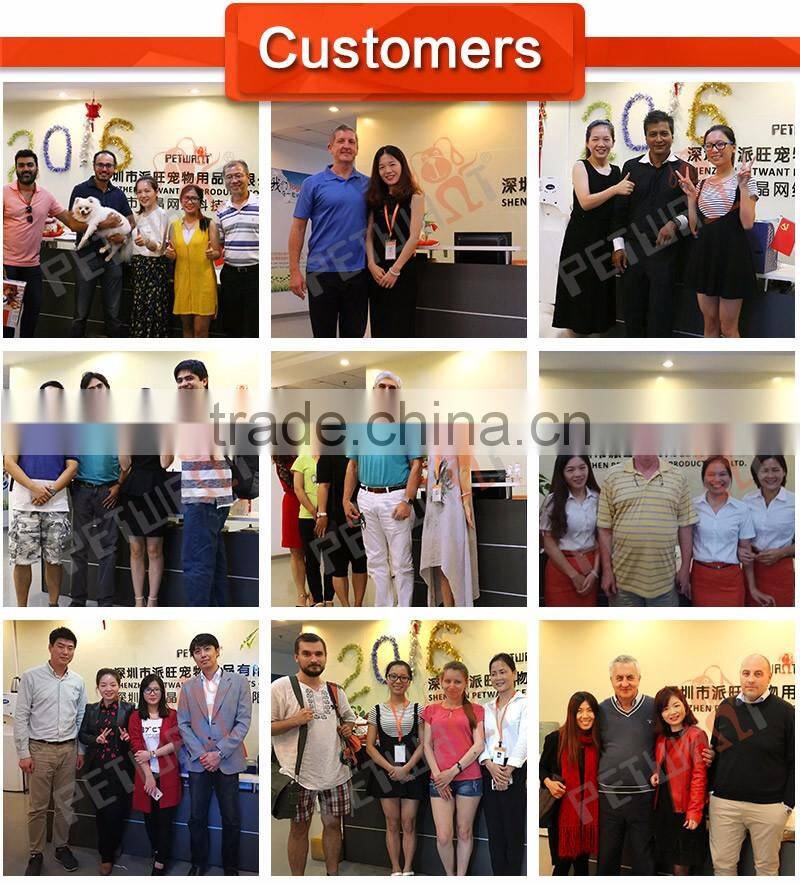 Automatic pet meal dispenser electric cat dog dry food auto portion feeder