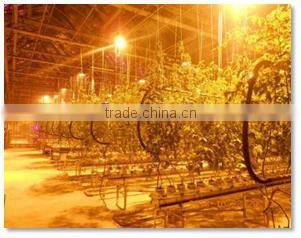 Artificial Lighting System for Greenhouse
