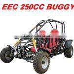 EPA 250CC BUGGY Popular