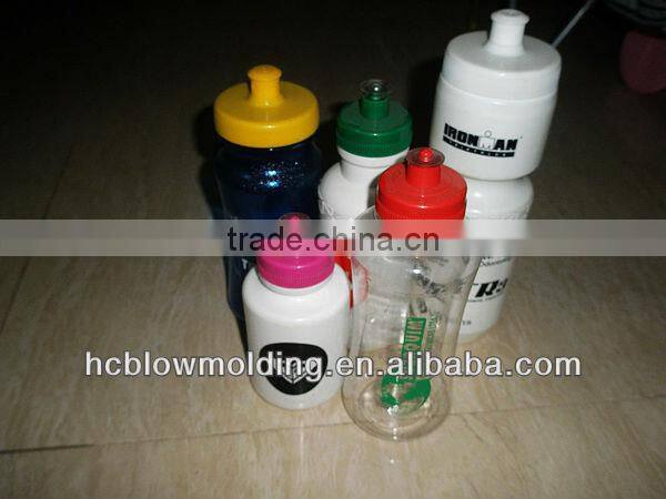 OEM Plastic PE 500ml Water Bottle Mould for children Manufacture for sale