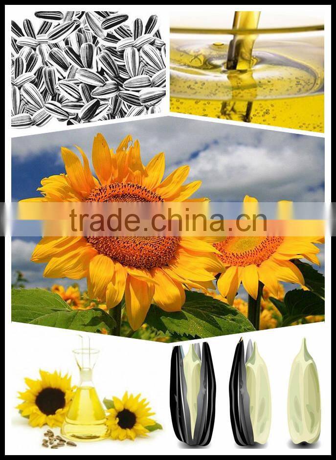 High quality cake sunflower seed oil press machine