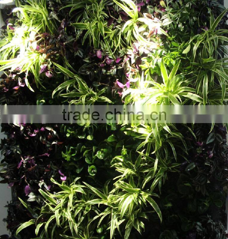2015 new designed high quality artificial plant wall/decorative plants for sale