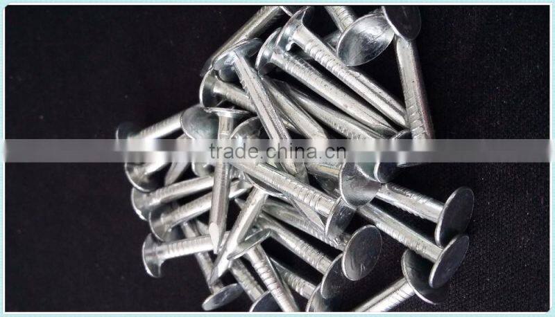 coil roofing,factory direct sale nails