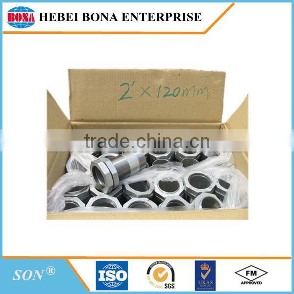 Popular hot dipped / electric galvanized carbon steel pipe nipples