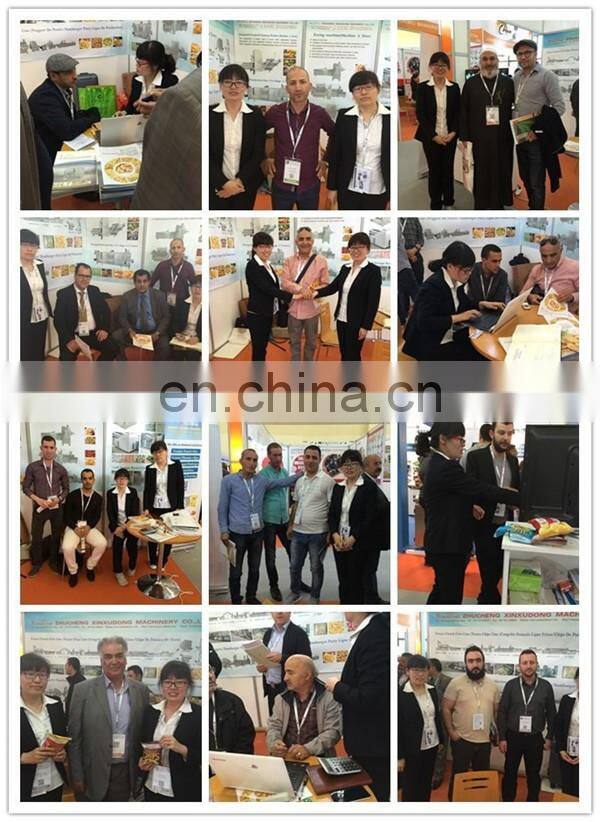 Automatic digital control batch fryer for potato chips and nuts