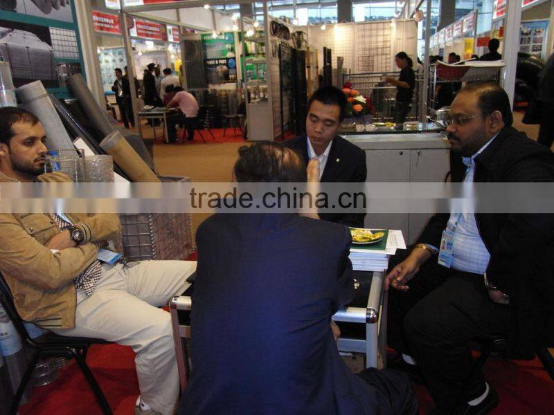 Anping galvanized welded wire mesh for building/construction material(manufacturer/supplier)