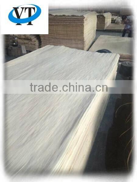 Rotary cut white color poplar wood face veneer with high quanlity Linyi factory manufactures