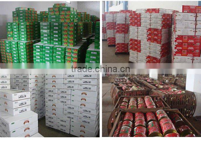 export Food & Beverages products,2200gram tomato paste for guinea