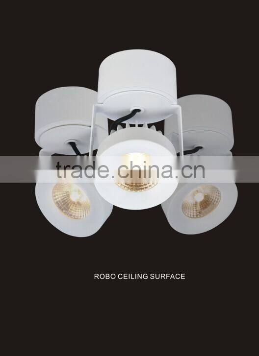 Dimmable Adjustable 8W COB LED Surface Mounted LED Ceiling Light with HEP driver