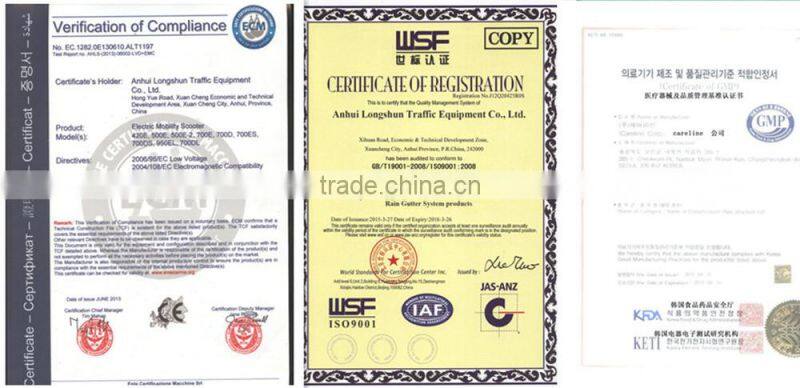 Large Size Electric Scooter with Canopy for Outdoor Use