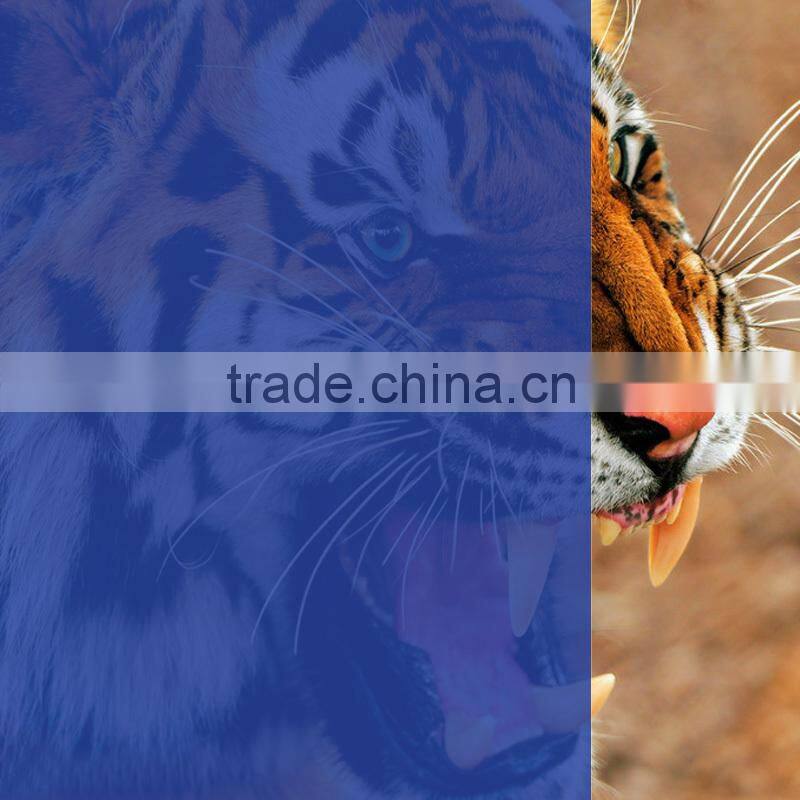 1.52*30m Dark Bule Window Film