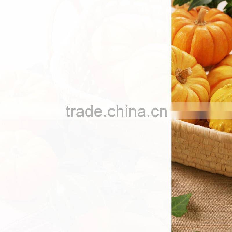 car window 5 years gurantee solar window film