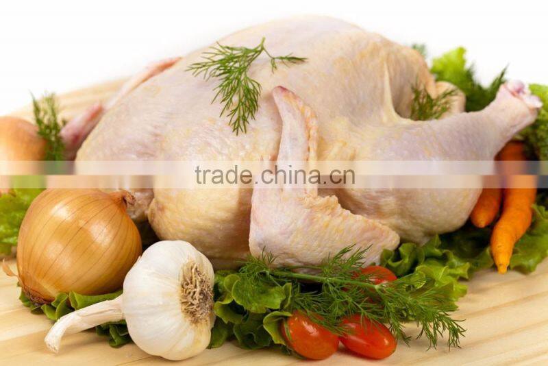 CE certificate saline needle fresh meat marinade seasoning machine