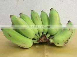 Organic Fresh Bananas Nam Wah Grade 1