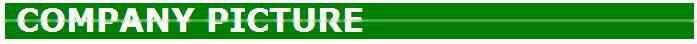 Cattle ear tag you select color we do it for you ear tag